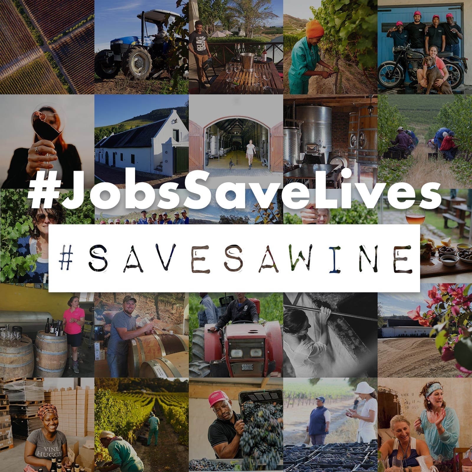 Südafrikanische Weine und Olivenöl - Save SA Wine Kampagne